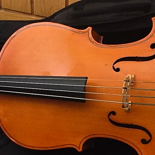 Cello stentor student - stentor,