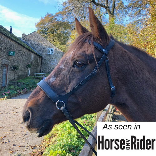 Bitless bridle sidepull - bitless,