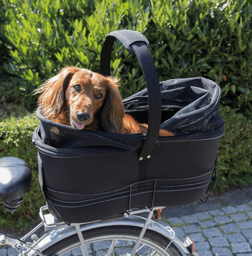 Pet dog bicycle - dog, basket