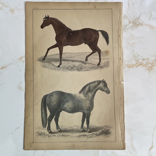 Antique book engraving hand - engraving,