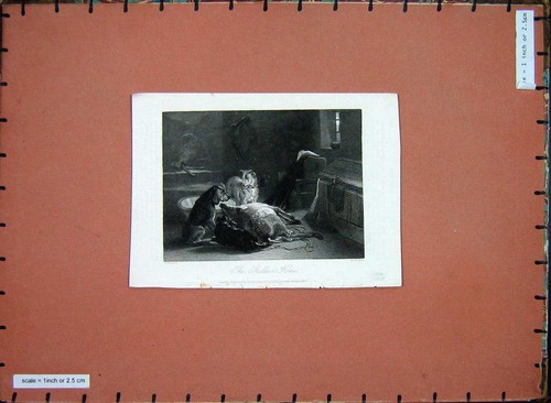 Original old antique print - old,