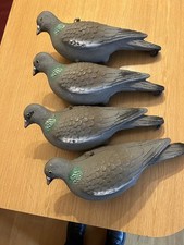 Sport Plast Pigeon Decoys x 4