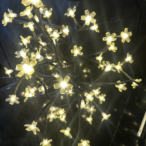 Blossom flower led cherry - ,