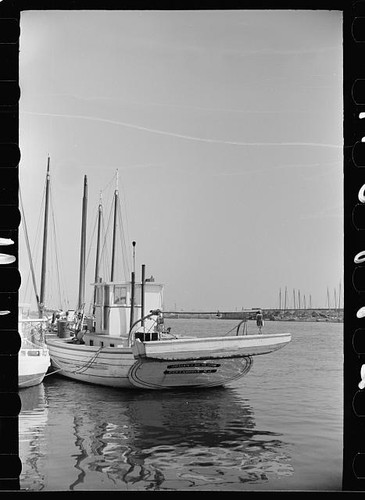 Oyster fishing