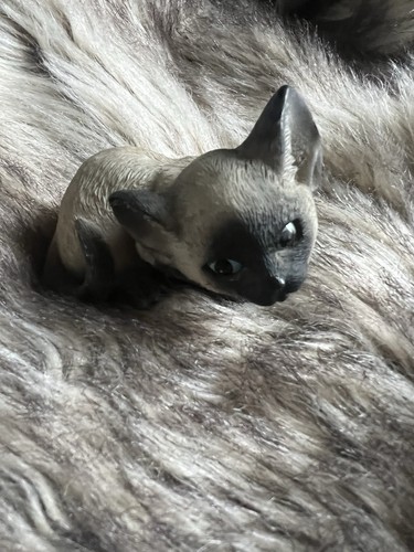 Siamese kitten figurine - siamese,