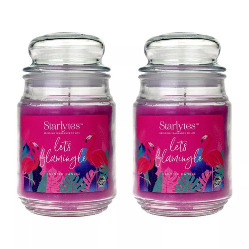Starlytes lets flamingle - starlytes,