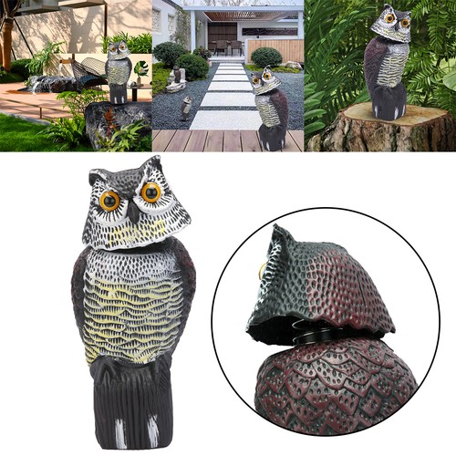 Realistic owl decoy - owl,