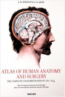 Atlas human anatomy - atlas, and