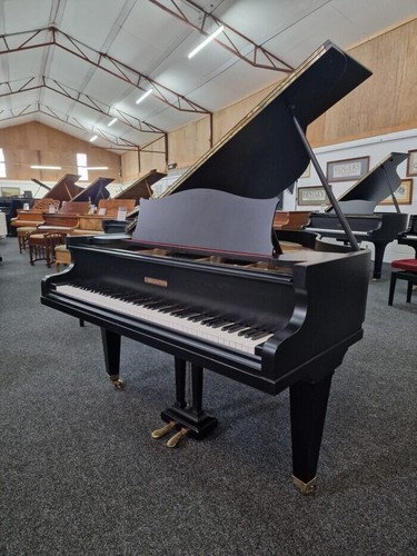 Bechstein grand piano - piano, |