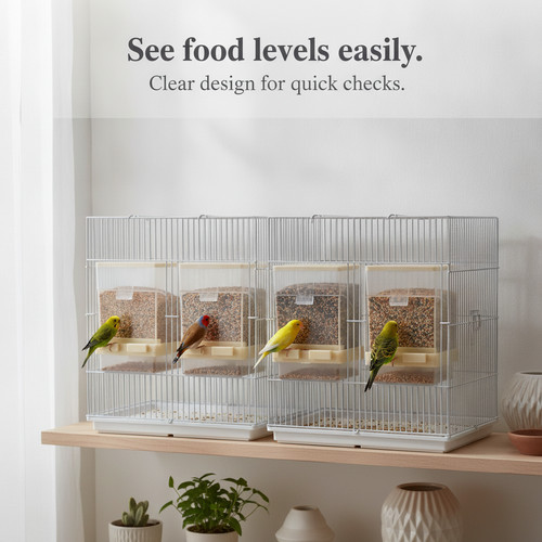 Automatic bird seed feeder for - bird,