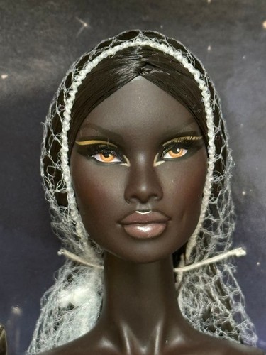 Integrity toys fashion royalty - integrity,