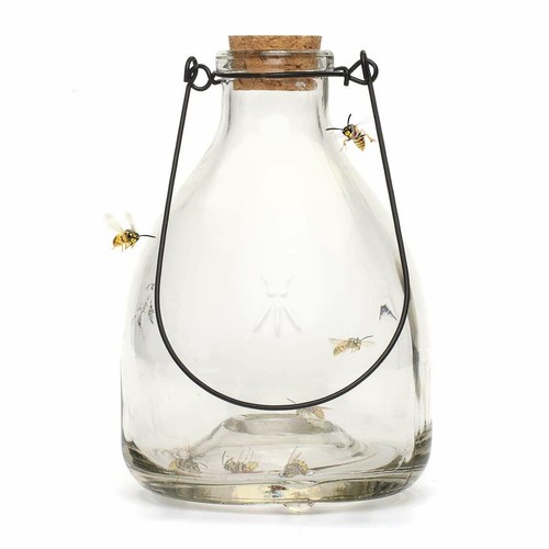 Glass wasp trap large hanging - large,