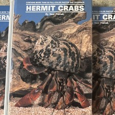 Land Hermit Crabs