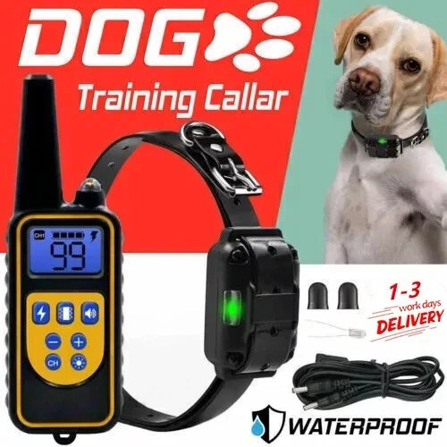 800m electric dog pet training - electric,
