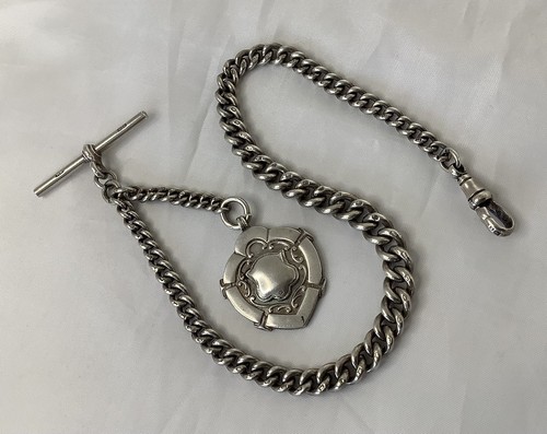 Albert watch chain - chain, antique