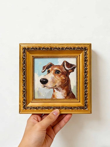 Brown white dog portrait - white,