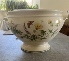 Royal Winton The Country Diary