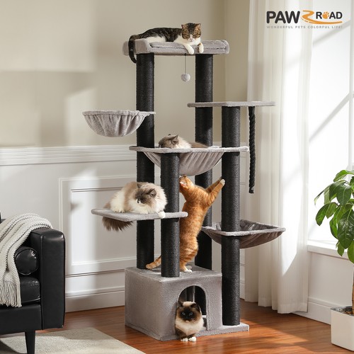 Pawz road large cat - cat, tree