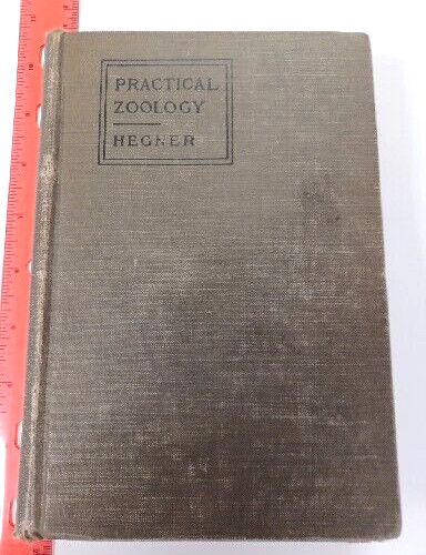 Antique book practical - book, zoology