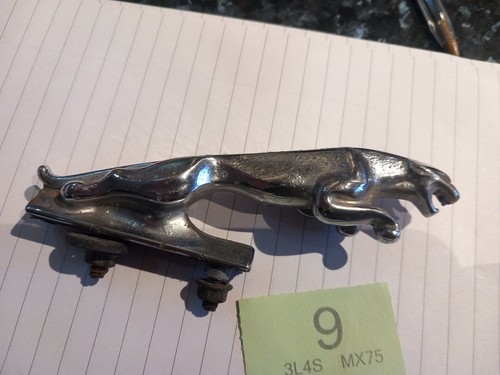 Collectors classic jaguar - collectors,