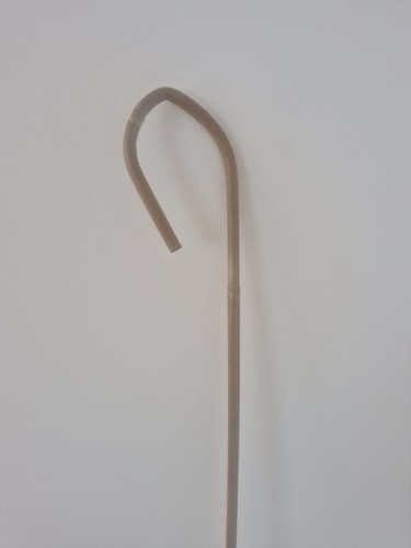 Pubic school dragon - pubic, cane