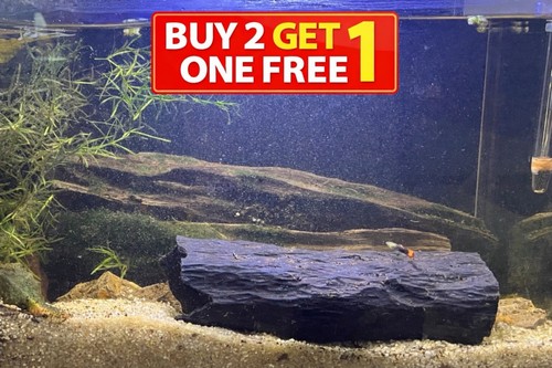 Pleco breeding cave hide - cave,