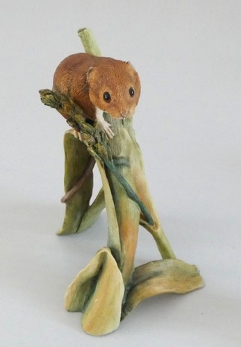 Harvest mouse early - mouse, "early