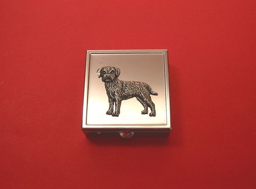 Border terrier pill box - box, with