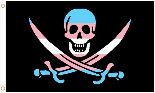 Transgender pride pirate - transgender,
