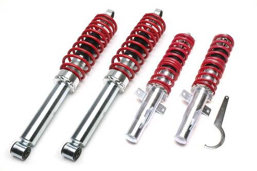 Technix coilovers for ford - ta,