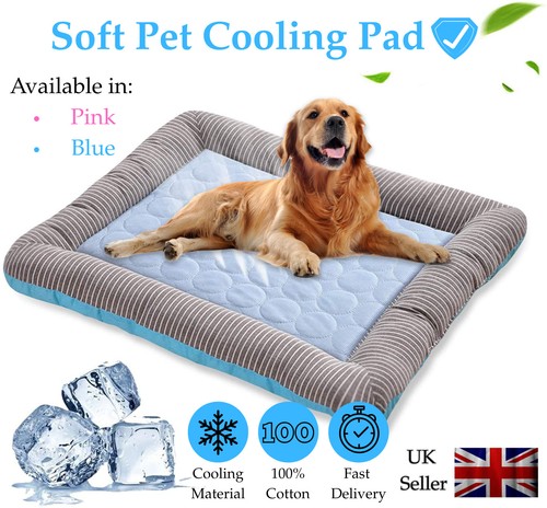 New pet cooling bed - bed, dogs