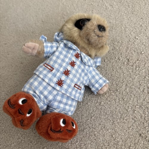 Baby oleg meerkat - baby, from