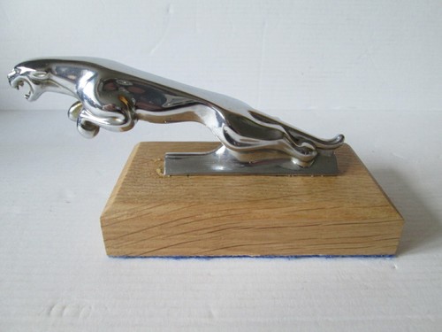 Jaguar and 420g cat - 10,