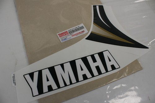Right fairing decal stripe - fairing,