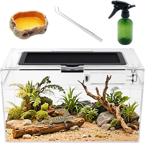 Reptile plastic terrarium - reptile,