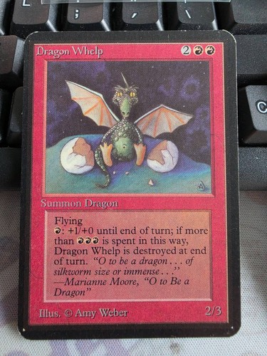 Alpha dragon whelp - whelp, lp