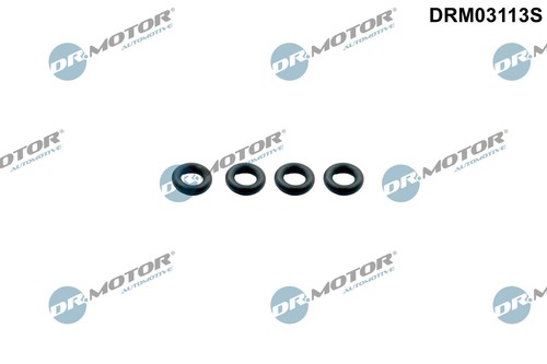 Seal ring injector - ring,,