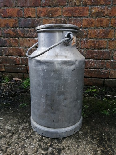 Vintage milk churn - milk,