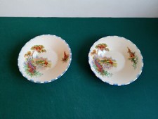 2 x Pretty Coronet Ware Parrot