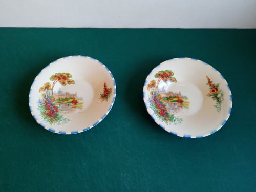 Pretty coronet ware parrot - 2, x