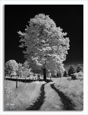 Converted Infrared IR 850nm