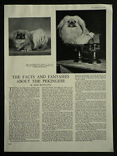 Papillon Dog With Butterfly Ears ( History Of ) 1960 1 Page Photo Article