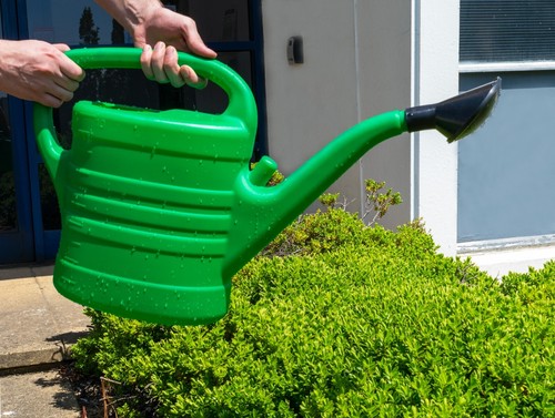 Watering can with rose - with,