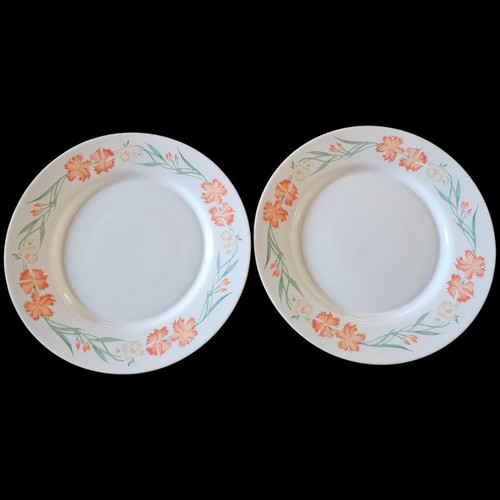 Arcopal wildflowers dinner - arcopal,