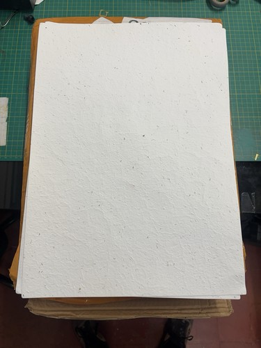 100x seeded cardstock - 100x, a3