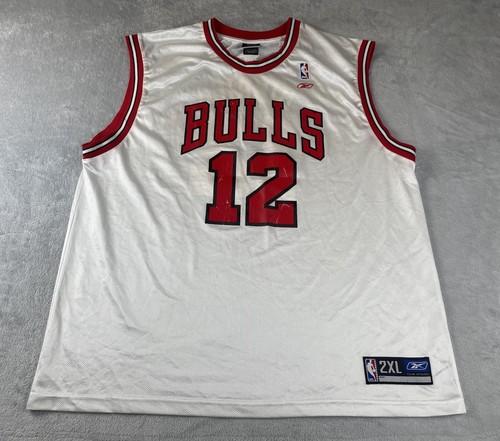 Chicago bulls basketball - chicago,