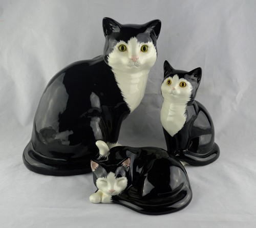 Just cats co staffordshire - &,