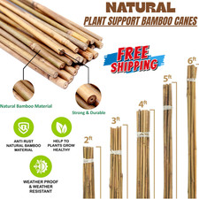 6FT Thick Bamboo Canes Heavy Duty Strong Garden Plant Support Poles Sticks New