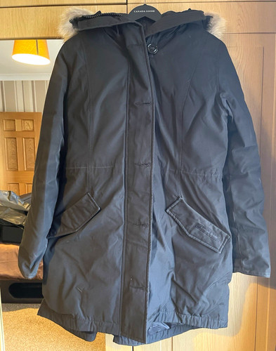 Canada goose rossclair - goose,