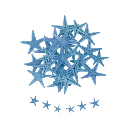 30pcs 8 starfish for - starfish,